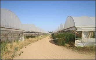 appartamento in vendita a Sabaudia in zona Sant'Isidoro