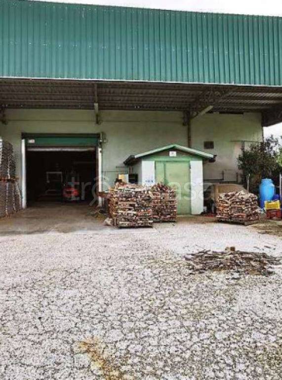 locale commerciale in vendita a Sabaudia