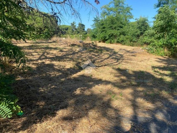 terreno agricolo in vendita a Sabaudia