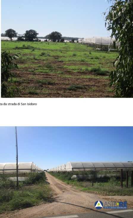 terreno agricolo in vendita a Sabaudia in zona Sant'Isidoro