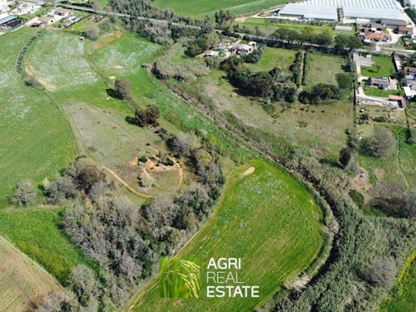 terreno agricolo in vendita a Sabaudia
