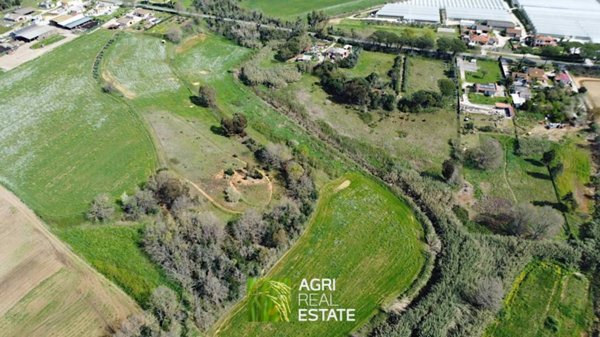 azienda agricola in vendita a Sabaudia