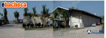 azienda agricola in vendita a Sabaudia in zona Sant'Isidoro