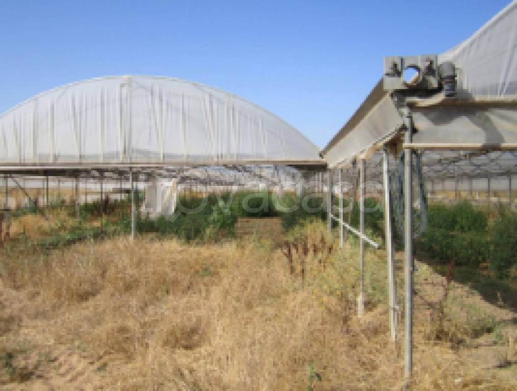 terreno agricolo in vendita a Sabaudia in zona Sant'Isidoro