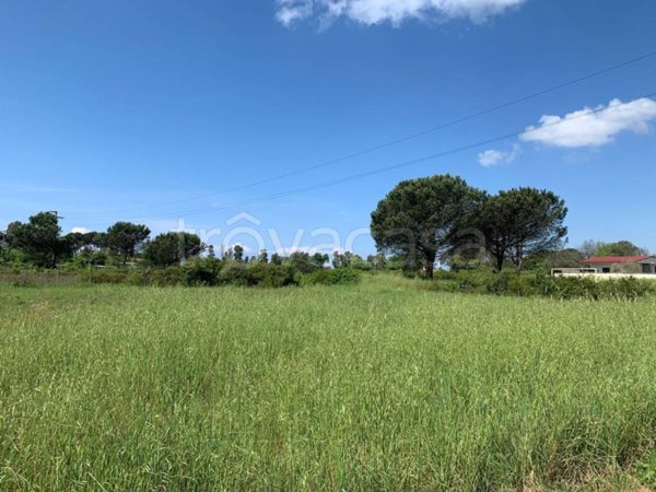 casa indipendente in vendita a Sabaudia