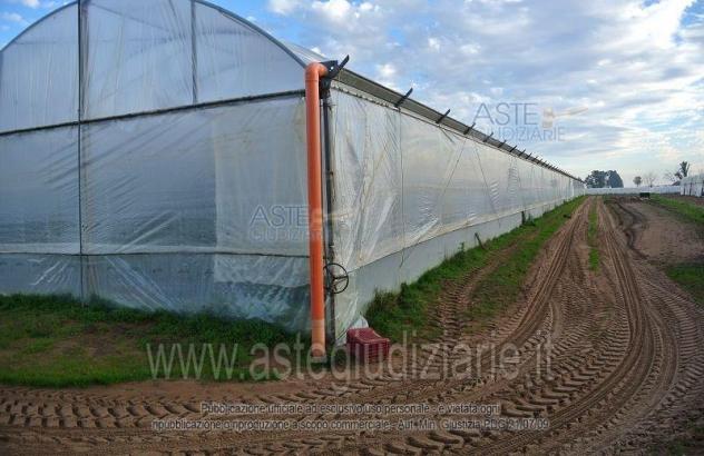 terreno agricolo in vendita a Sabaudia