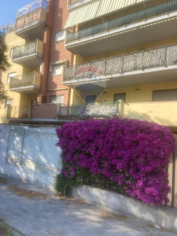 appartamento in vendita a Sabaudia