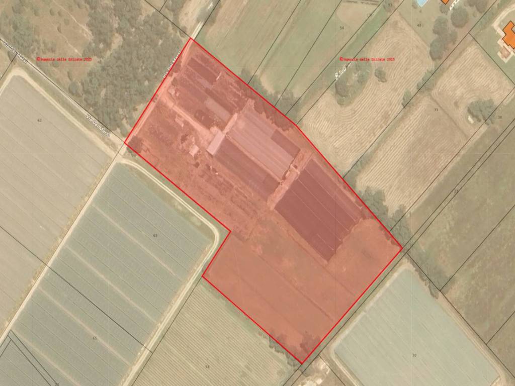 terreno agricolo in vendita a Sabaudia