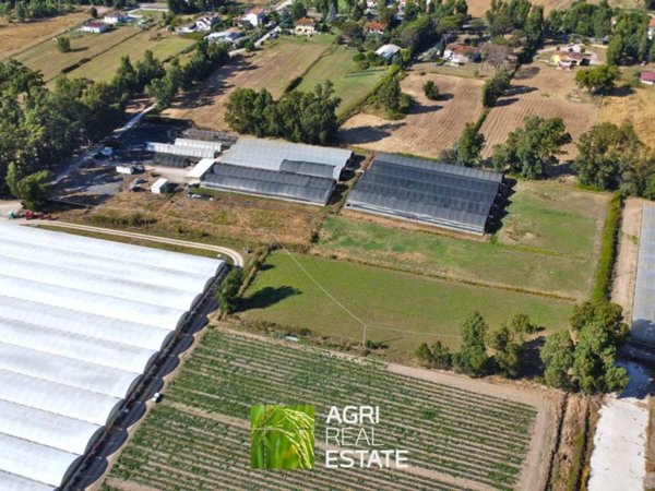 terreno agricolo in vendita a Sabaudia