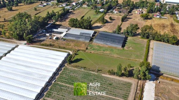 terreno agricolo in vendita a Sabaudia