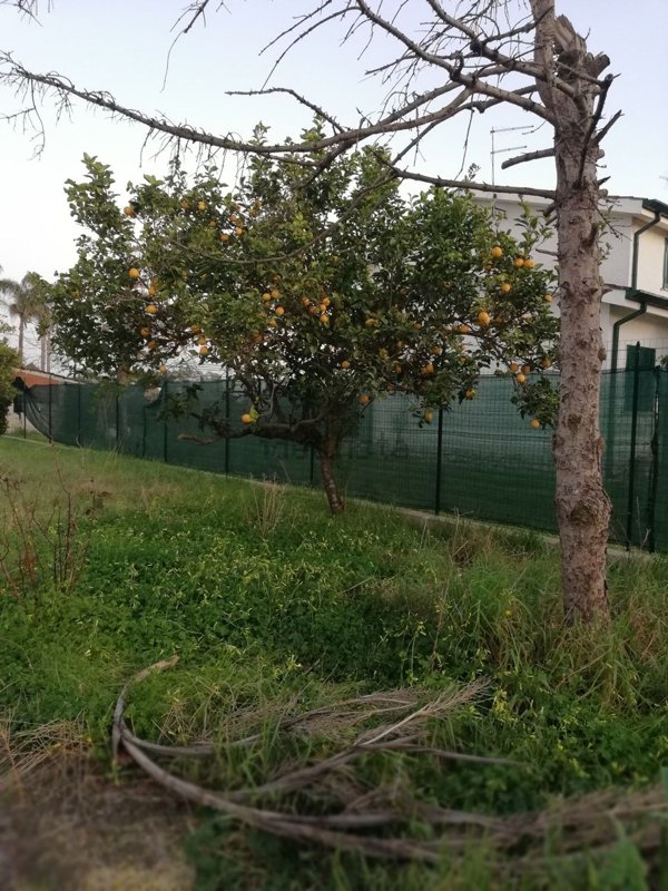 casa indipendente in vendita a Sabaudia