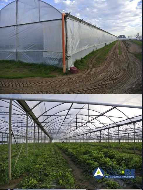 terreno agricolo in vendita a Sabaudia