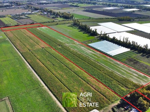 terreno agricolo in vendita a Sabaudia