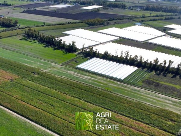 terreno agricolo in vendita a Sabaudia