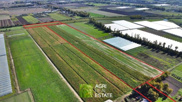 terreno agricolo in vendita a Sabaudia