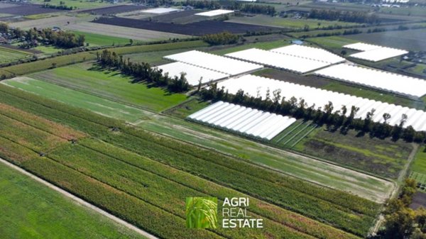 terreno agricolo in vendita a Sabaudia