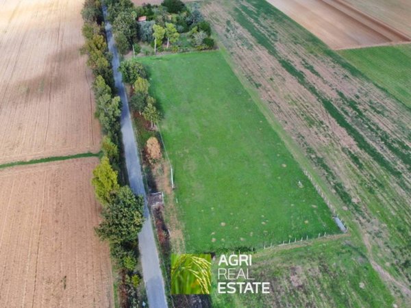 terreno agricolo in vendita a Sabaudia