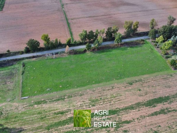 terreno agricolo in vendita a Sabaudia