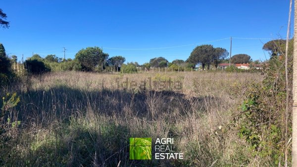 terreno agricolo in vendita a Sabaudia