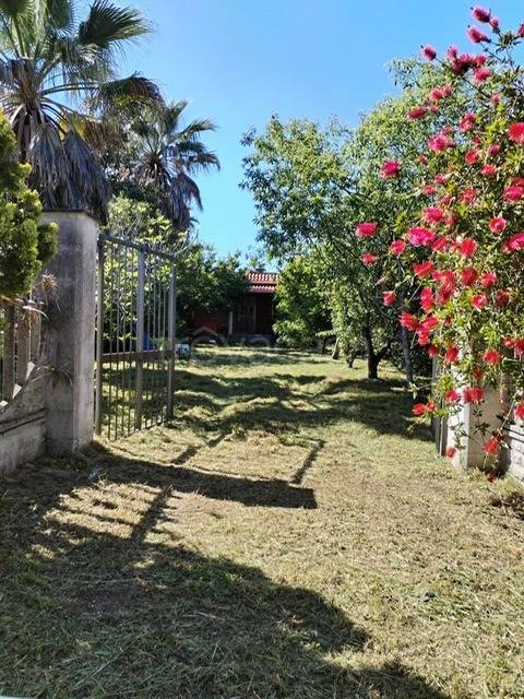 casa indipendente in vendita a Sabaudia in zona Bella Farnia