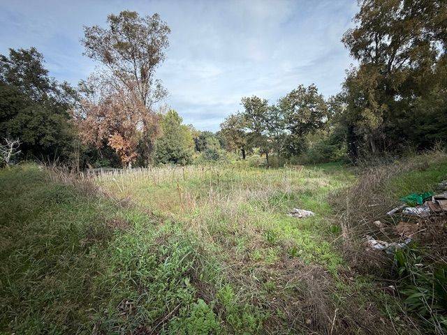 terreno agricolo in vendita a Sabaudia