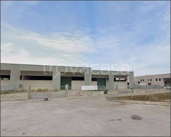 locale commerciale in vendita a Sabaudia