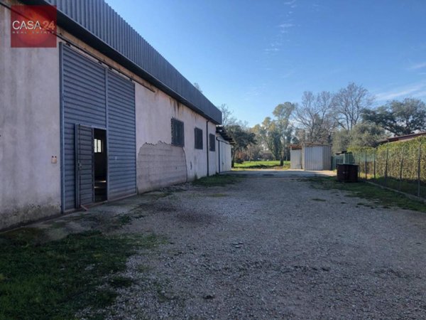 ufficio in vendita a Sabaudia