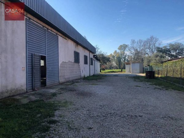 ufficio in vendita a Sabaudia