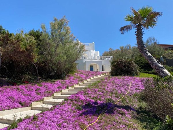 casa indipendente in vendita a Sabaudia