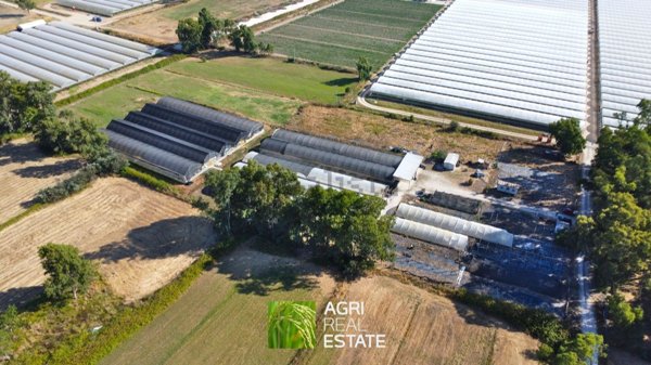 terreno agricolo in vendita a Sabaudia