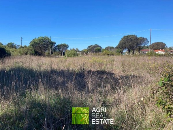 terreno agricolo in vendita a Sabaudia