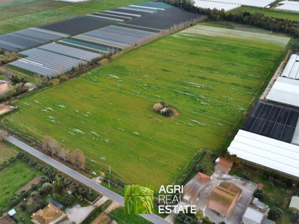 terreno agricolo in vendita a Sabaudia