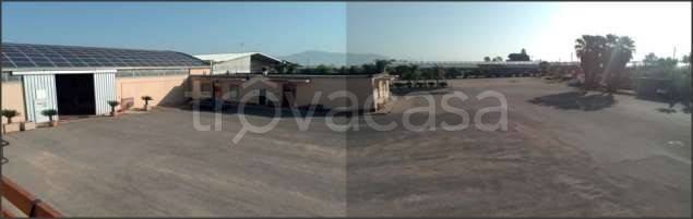 terreno agricolo in vendita a Sabaudia in zona Sant'Isidoro