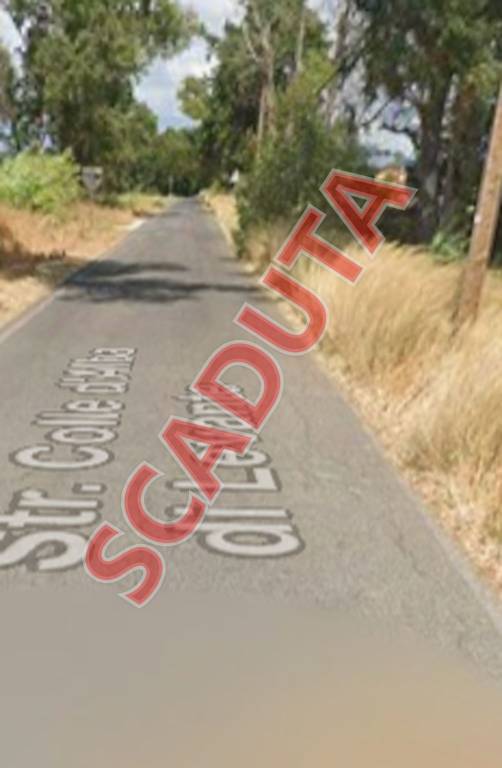 locale commerciale in vendita a Sabaudia