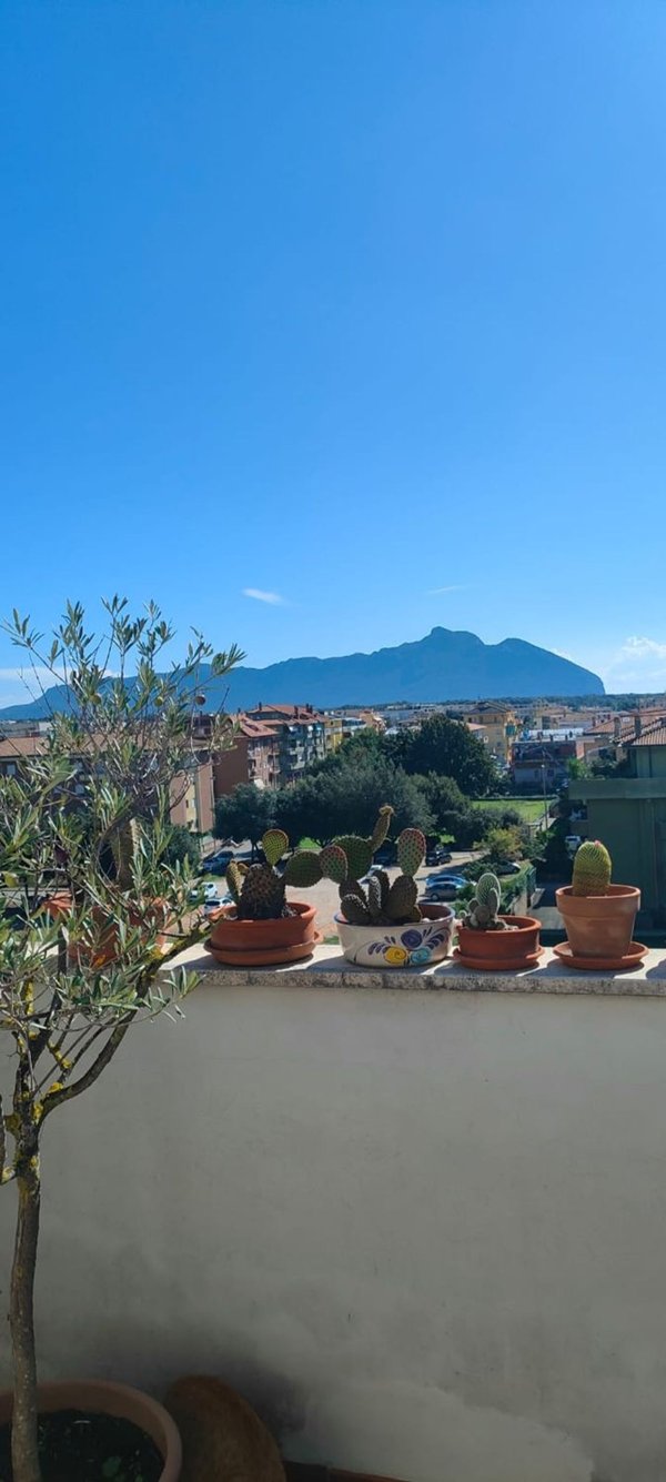 appartamento in vendita a Sabaudia