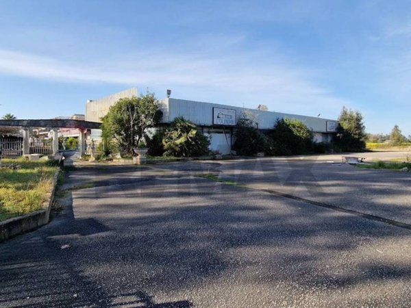 negozio in vendita a Sabaudia