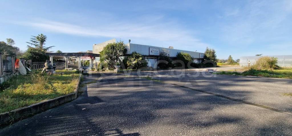 negozio in vendita a Sabaudia