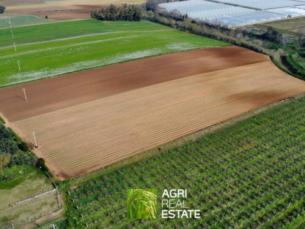 terreno agricolo in vendita a Sabaudia