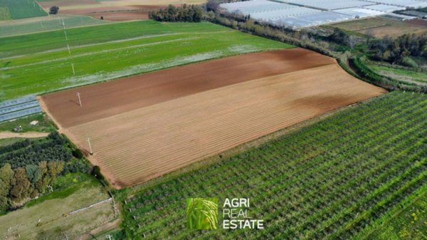 terreno agricolo in vendita a Sabaudia