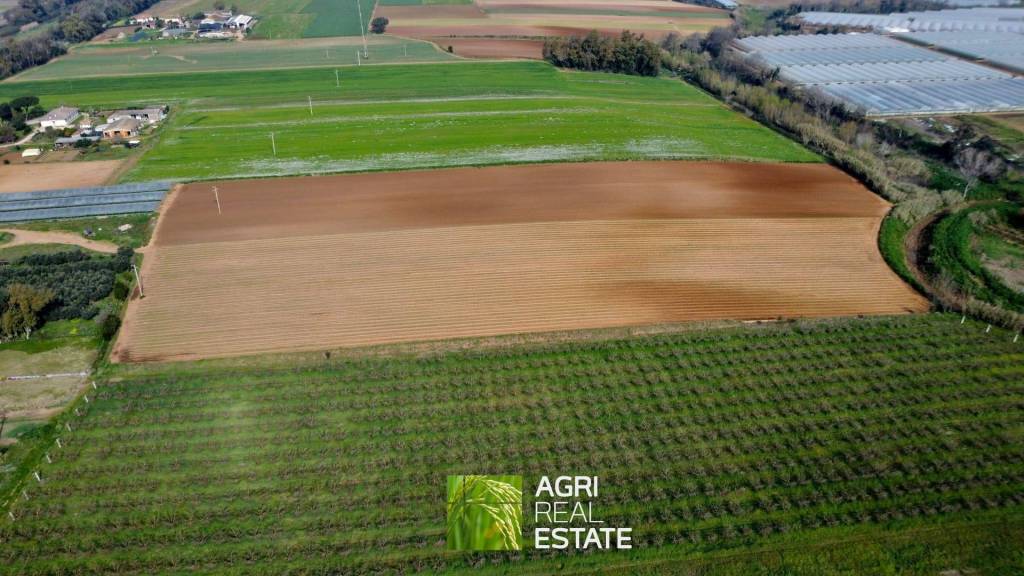 terreno agricolo in vendita a Sabaudia
