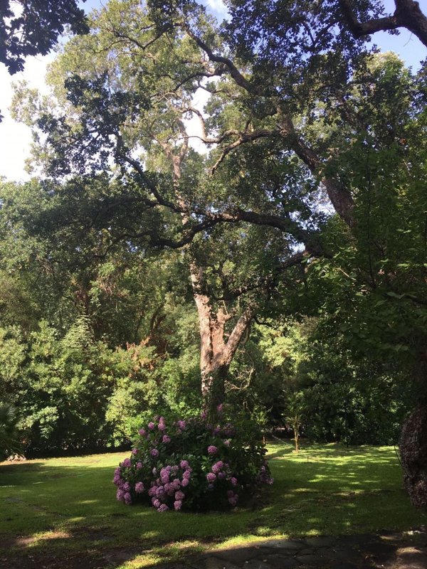 casa indipendente in vendita a Sabaudia in zona Baia d'Argento