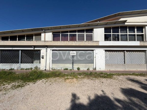 negozio in vendita a Sabaudia