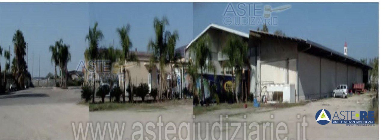 azienda agricola in vendita a Sabaudia in zona Sant'Isidoro