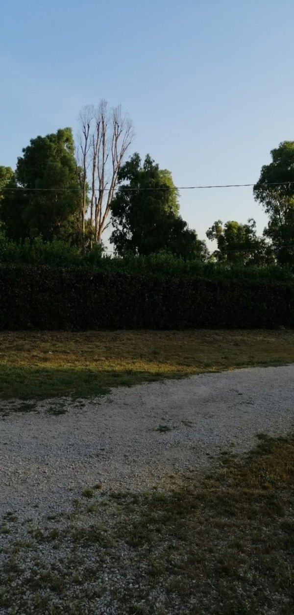 appartamento in vendita a Sabaudia in zona Cerasella