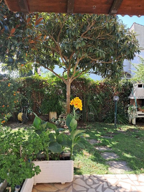 casa indipendente in vendita a Sabaudia in zona Bella Farnia