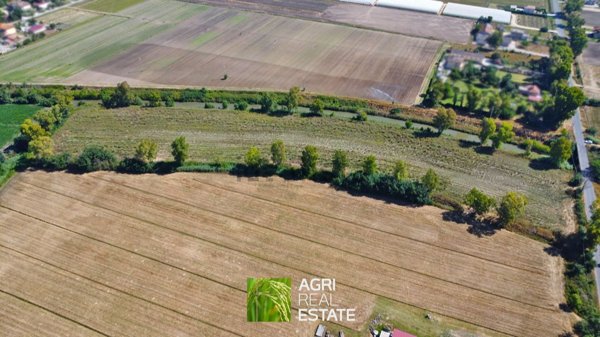 terreno agricolo in vendita a Sabaudia in zona Cerasella