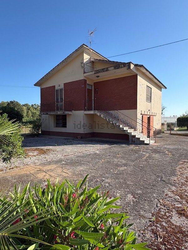 esavano in vendita a Sabaudia