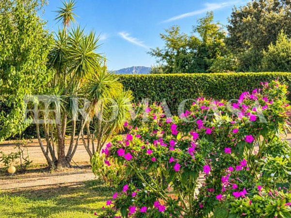 casa indipendente in vendita a Sabaudia in zona Borgo Vodice