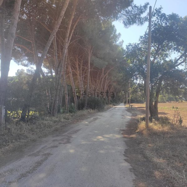 casa indipendente in vendita a Sabaudia in zona Baia d'Argento