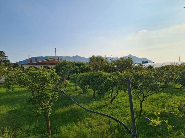 casa indipendente in vendita a San Felice Circeo